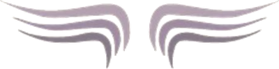 DAGMAR Media